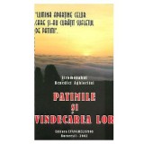 Patimile si vindecarea lor - Ieromonahul Benedict Aghioritul