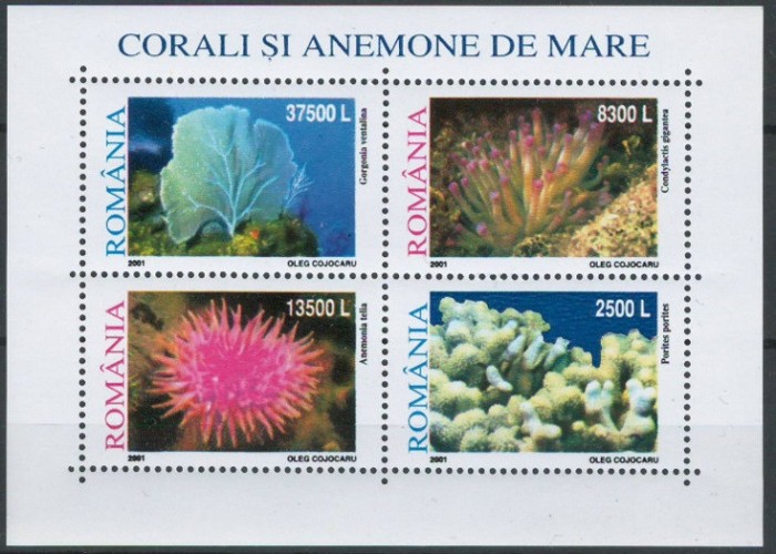 C1396 - Romania 2001 - ,Corali,colita nestampilata,MNH