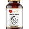 YANGO Luteolin 50 mg 60db.