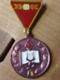 Insigne (5) Cantarea Romaniei 1981
