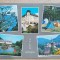 CPIB 17647 CARTE POSTALA - VALEA OLTULUI, MOZAIC