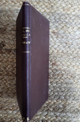 POEZII -C.NEGRUZZI ,1929 foto