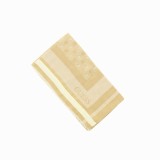 Guess, Guess, Eșarfă textilă, AW9060MOD03BEI, Pentru femei