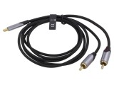 Cablu RCA x2 la USB C Aurit 0,5m Negru