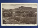 Beșeneu Heidendorf VIIșoara Steiniger Weinhalde