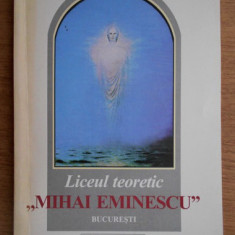 Tudor Opris - Liceul Teoretic Mihai Eminescu