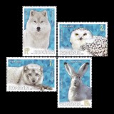 Faună polară 2020 LP 2271