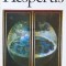 Hesperus - IOAN PETRU CULIANU (N105)