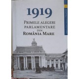 1919 PRIMELE ALEGERI PARLAMENTARE DIN ROMANIA MARE-ALEXANDRU RADU, CAMELIA RUNCEANU-252408