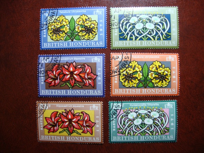 BRITISH HONDURAS FLORI
