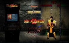 Vand Stick de 128 GB cu 1100 Jocuri Retro-Arcade pentru WINDOWS