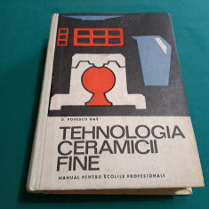 TEHNOLOGIA CERAMICII FINE * MANUAL ȘCOLI PROFESIONALE / D. POPESCU HAȘ / 1969 *