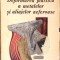DEFORMAREA PLASTICA A METALELOR SI ALIAJELOR NEFEROASE-I. GROZA, P. SECHEL, M. PRIDVORNIC, M. DRAGULIN-270923