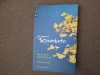 Jurnal de la saisprezece ani. Adolescentul Yasunari Kawabata