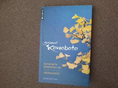 Jurnal de la saisprezece ani. Adolescentul Yasunari Kawabata foto