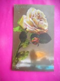 HOPCT 12274 ANUL 1919 TRANDAFIRI -FLORI-FRANTA -FELICITARE VECHE ---EUROPA - -ROMANTICA- -CIRCULATA