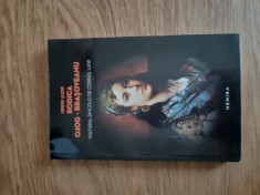 Vulturul dincolo de cornul lunii - Rodica Ojog Brasoveanu foto