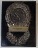 PLACHETA CAMPIONATUL INTERNATIONAL DE ATLETISM, 1935