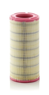 MANN-FILTER C 19 460/2 Filtru aer foto