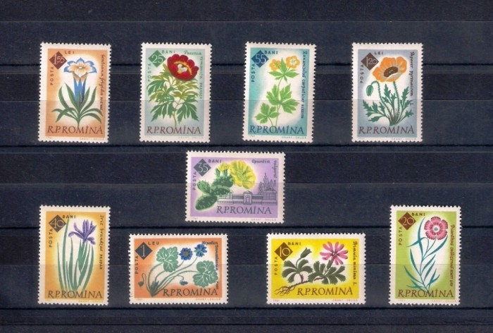 ROMANIA 1961 - CENTENARUL GRADINII BOTANICE BUCURESTI, DANTELAT, MNH - LP 524