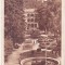 bnk cp Baile Herculane - Parcul - uzata 1950