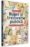 Buget si trezorerie publia - Gabriel I. Nastase