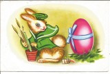 (A) carte postala-FELICITARE