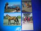 HOPCT LOT NR 414 CAI -FAUNA -4 CARTI POSTALE-NECIRCULATE