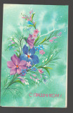 CPIB 20153 FELICITARE - FLORI