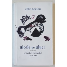 ULCELE PE ULUCI , MINIATURI CU SMALTUL LA VEDERE de CALIN TORSAN , 2015, DEDICATIE *