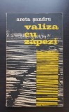 Valiza cu zăpezi - Areta Șandru