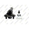 Pivot brat suspensie Honda Civic 8 Hatchback (Fn, Civic 8 Sedan (Fd, 1.4 (FK1), 1.8 (FN1, FK2), Type R (FN2), 1.3 IMA (FA3, FD3), 1.3 IMA (FD3), 1.6, Teknorot