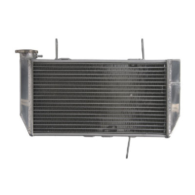 RADIATOR DUCATI MULTISTRADA 1200 2010 2014 foto