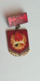QW9 K 83 - Insigna - tematica pionieri - Distins cu diploma de onoare, Romania de la 1950