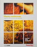 Plante medicinale. Aliatele cele mai bune ale sanatatii - Alice Depetri