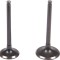 SET SUPAPE GY6 50 PowerTool TopQuality