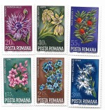 Romania - Ocrotirea naturii - Flori, 1974 - serie neobliterata