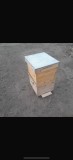 Vand stupi noi
