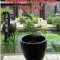 Advanced Flying Star Feng Shui