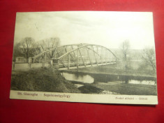 Ilustrata Sfantu Gheorghe - Podul Oltului 1935 Ed.Klein foto