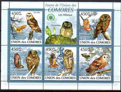 Ins. COMORE 2009, Fauna - Pasari, MNH, foto