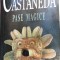 PASE MAGICE CARLOS CASTANEDA