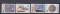 Foto  - 1