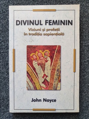 DIVINUL FEMININ - John Noyce foto