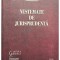 Bogdan Ionescu - Nestemate de jurisprudenta (Editia: 2011)