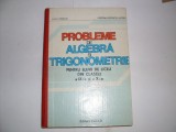 Probleme De Algebra Si Trigonometrie Pentru Elevii De Liceu C - Liviu Pirsan, Cristina Georgeta Lazanu , 20896, FACLA