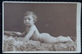 Fotografie tip Carte postala, Bebelus stand pe burta pe o blana, perioada interbelica