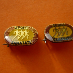 INSIGNA SPORT SANATATE