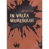 In Valea Muresului