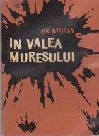 In Valea Muresului foto